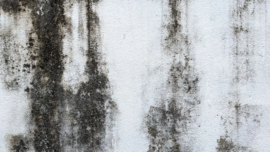 Wall surface showing moisture and mold-related property damage